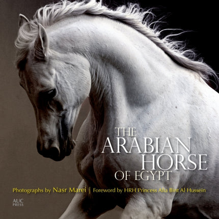 The Arabian Horse of Egypt