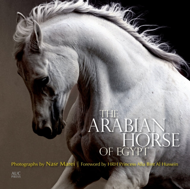 The Arabian Horse of Egypt