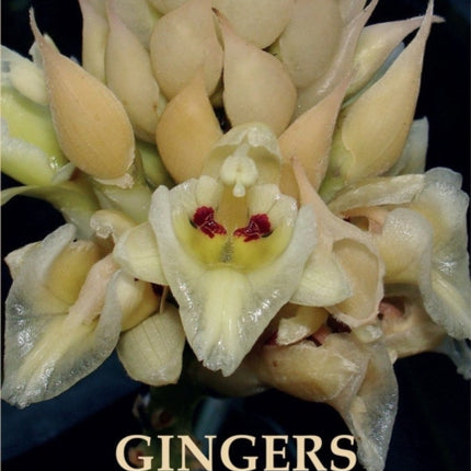 Gingers of Cambodia, Laos and Vietnam