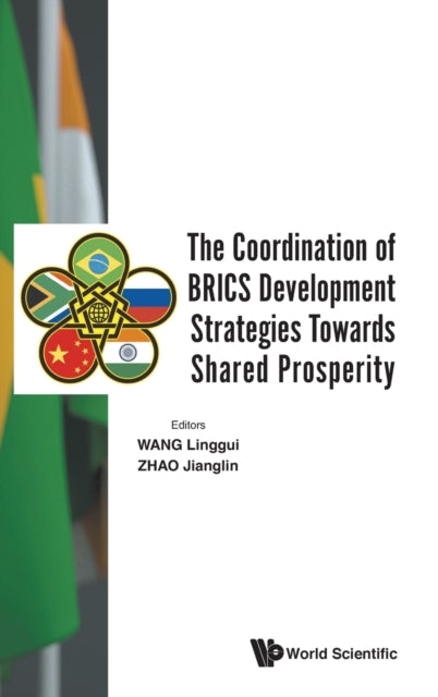 Coordination Of Brics Development Strategies