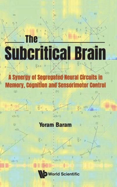 Subcritical Brain, The: A Synergy Of Segregated
