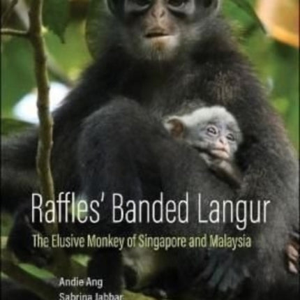 Raffles' Banded Langur: The Elusive Monkey Of Singapore And Malaysia