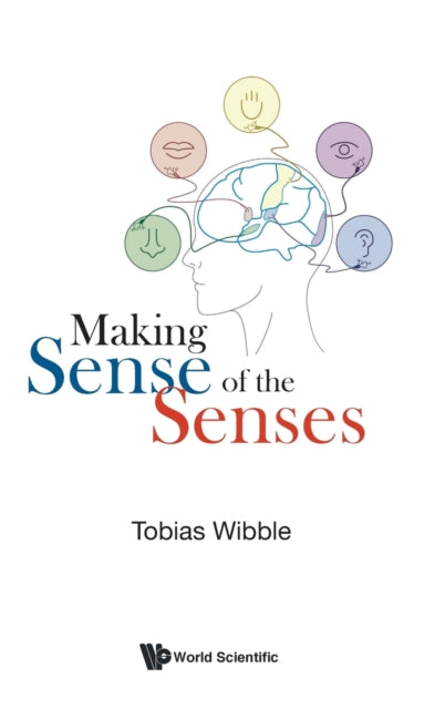 Making Sense Of The Senses