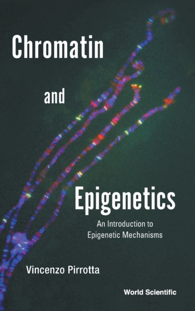 Chromatin And Epigenetics: An Introduction To