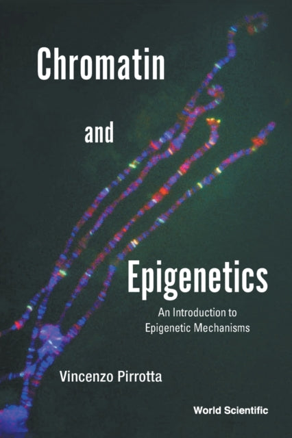 Chromatin And Epigenetics: An Introduction To