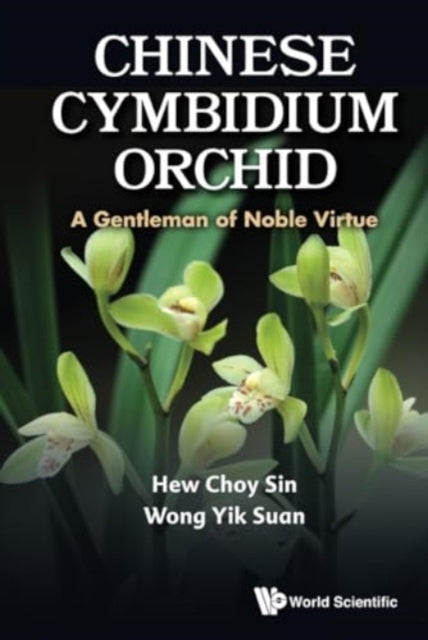 Chinese Cymbidium Orchid: A Gentleman Of Noble