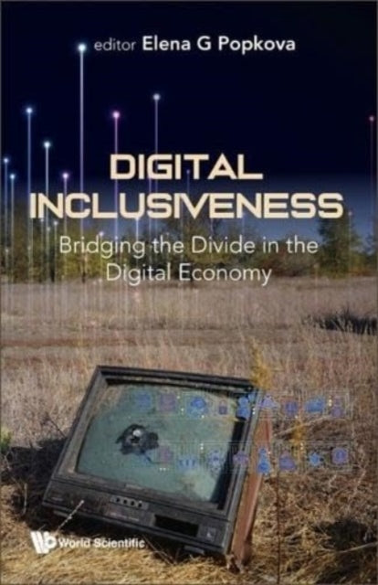 Digital Inclusiveness Bridging The Divide In The