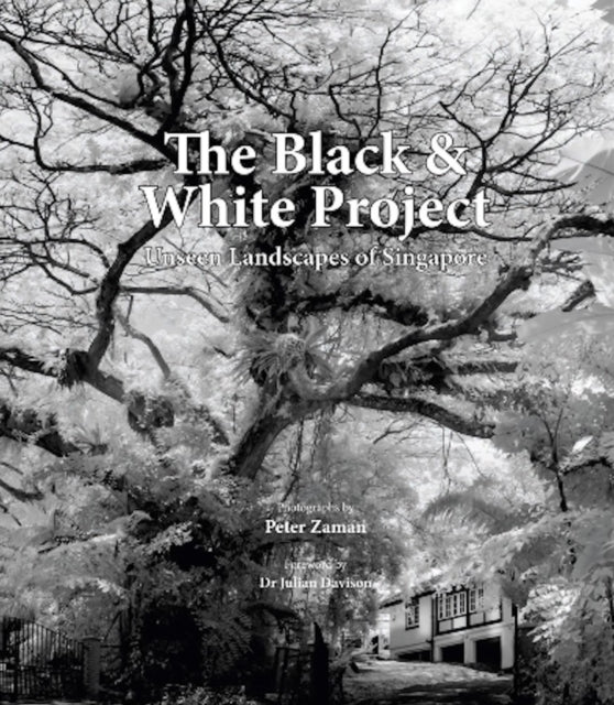 The Black  White Project