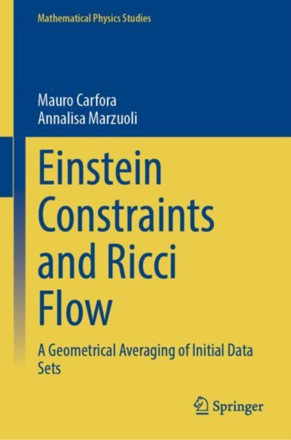 Einstein Constraints and Ricci Flow: A Geometrical Averaging of Initial Data Sets