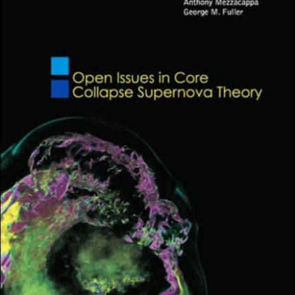 Open Issues In Core Collapse Supernova Theory