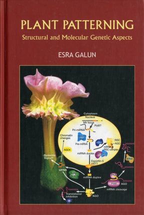 Plant Patterning: Structural And Molecular Genetic Aspects