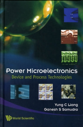 Power Microelectronics: Device And Process