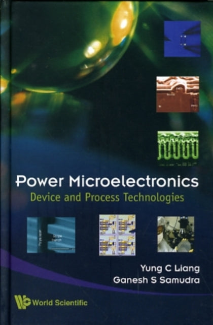 Power Microelectronics: Device And Process