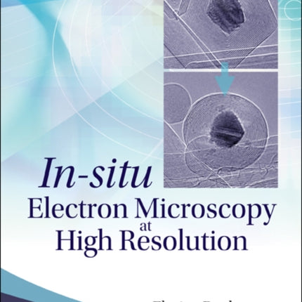 In-situ Electron Microscopy At High Resolution