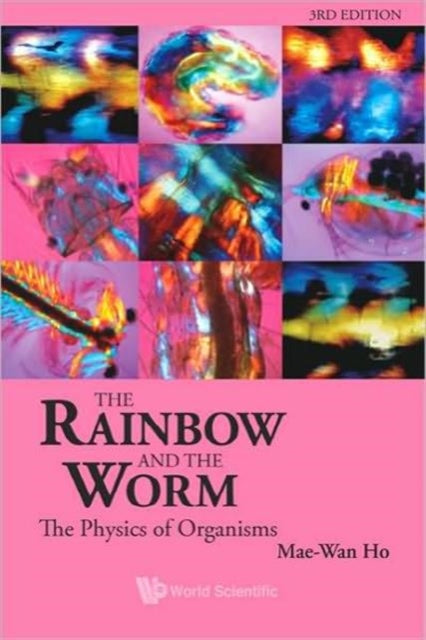 Rainbow And The Worm, The: The Physics Of