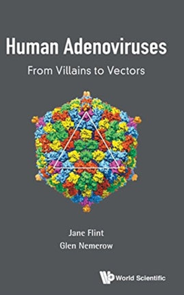 Human Adenoviruses: From Villains To Vectors