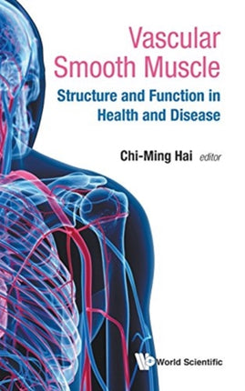 Vascular Smooth Muscle: Structure And Function In