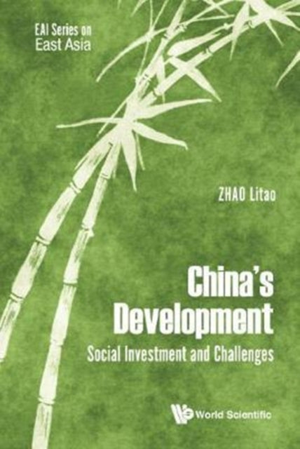 China's Development: Social Investment And