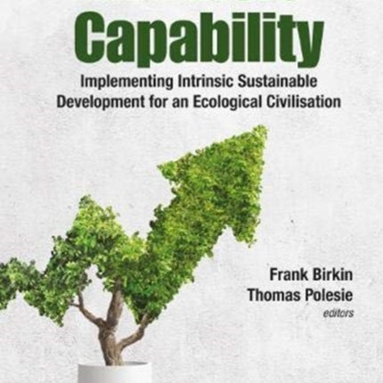 Intrinsic Capability: Implementing Intrinsic