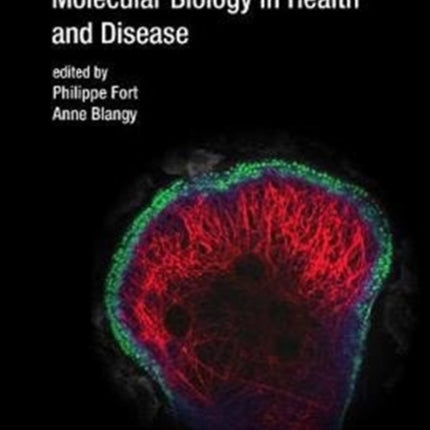 Rho Gtpases: Molecular Biology In Health And