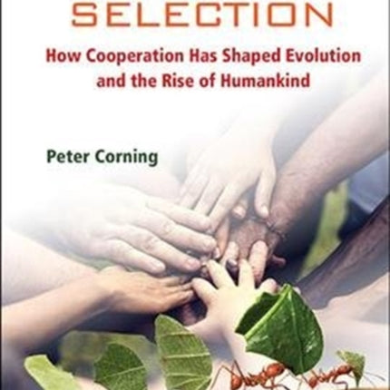 Synergistic Selection: How Cooperation Has Shaped
