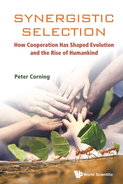 Synergistic Selection: How Cooperation Has Shaped