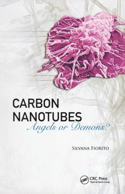 Carbon Nanotubes: Angels or Demons?