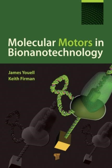 Molecular Motors in Bionanotechnology