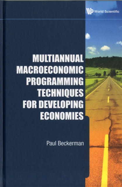 Multiannual Macroeconomic Programming Techniques