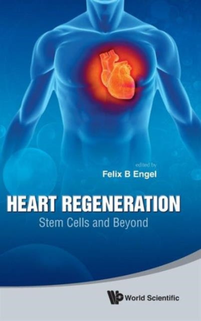 Heart Regeneration: Stem Cells And Beyond