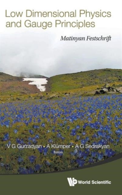 Low Dimensional Physics And Gauge Principles: