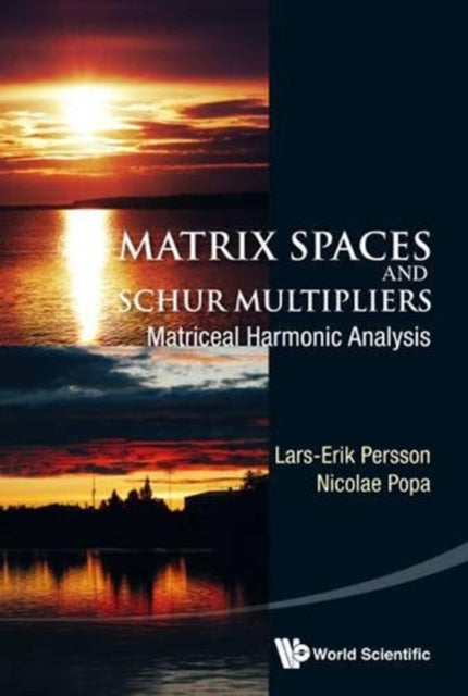 Matrix Spaces And Schur Multipliers: Matriceal