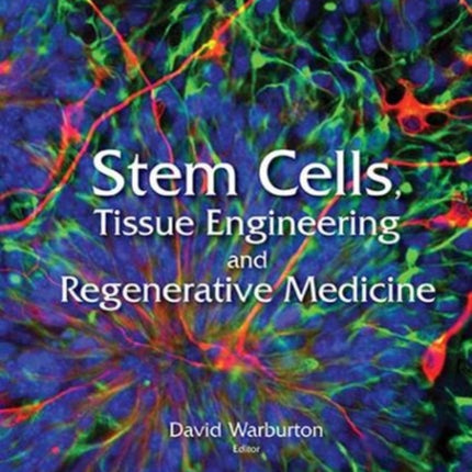 Stem Cells, Tissue Engineering And Regenerative