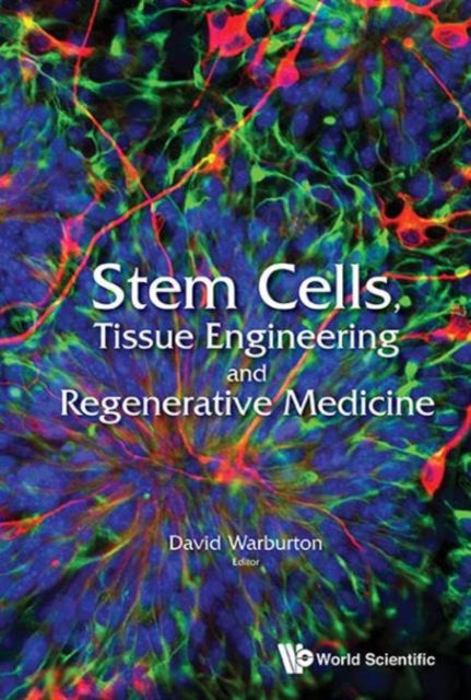 Stem Cells, Tissue Engineering And Regenerative