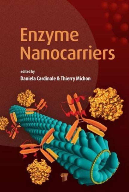 Enzyme Nanocarriers