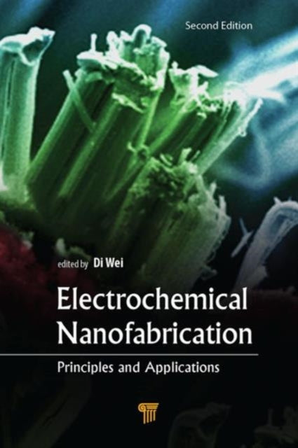 Electrochemical Nanofabrication: Principles and Applications, Second Edition