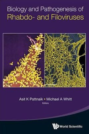 Biology And Pathogenesis Of Rhabdo- And