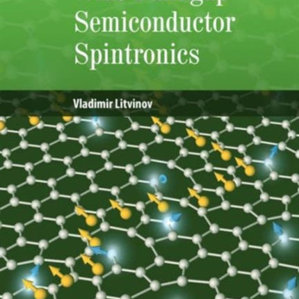 Wide Bandgap Semiconductor Spintronics