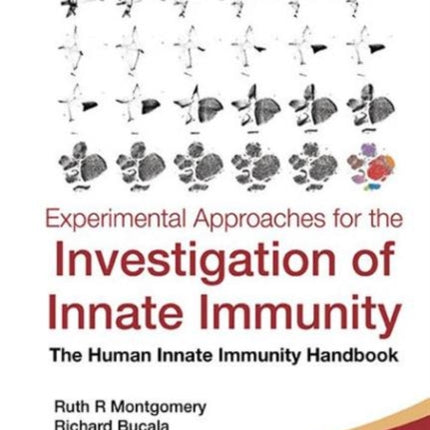 Experimental Approaches For The Investigation Of