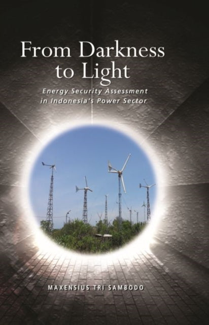 From Darkness to Light: Energy Security