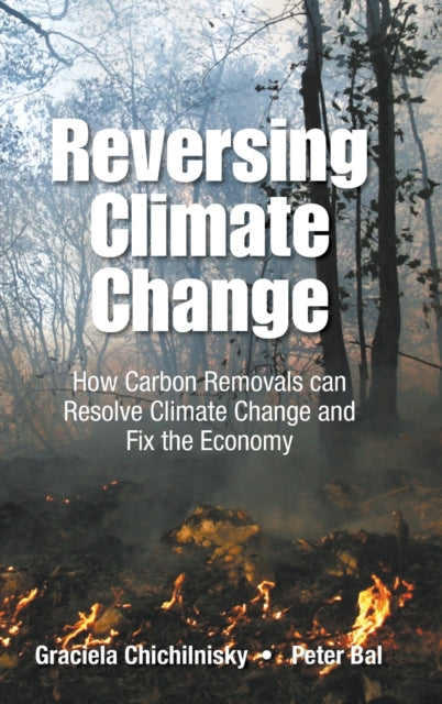 Reversing Climate Change: How Carbon Removals Can