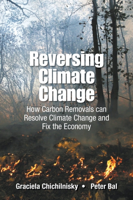 Reversing Climate Change: How Carbon Removals Can
