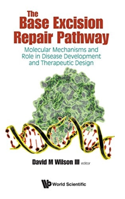 Base Excision Repair Pathway, The: Molecular