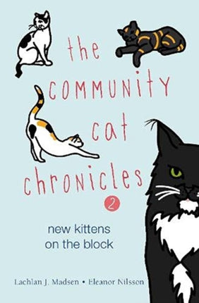 The Community Cat Chronicles 2: New kittens on the block