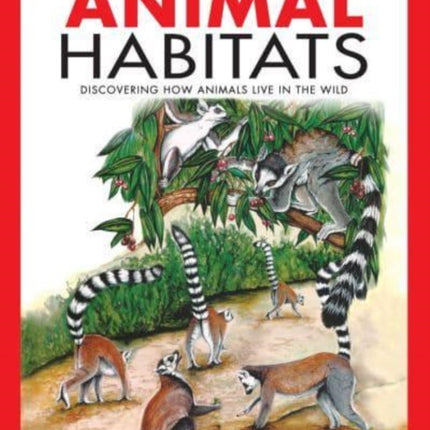 Animal Habitats: Discovering How Animals Live in the Wild