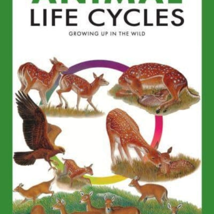 Animal Life Cycles: Discovering How Animals Live in the Wild