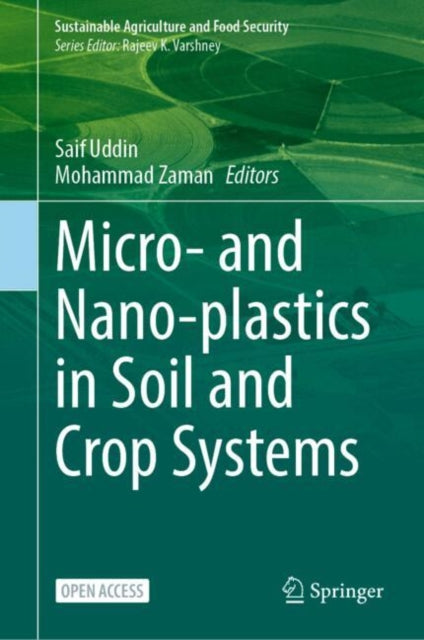 Micro and Nanoplastics in Soil and Crop Systems
