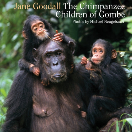 Chimpanzee Children of Gombe, The