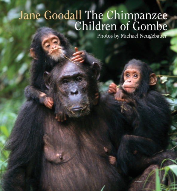 Chimpanzee Children of Gombe, The