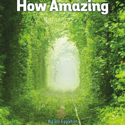 HOW AMAZING
